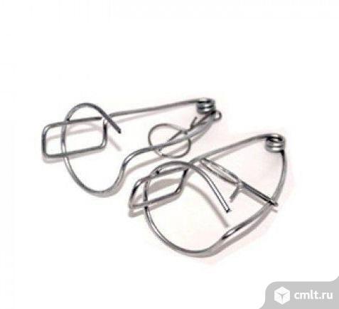 Кротоловка проволочная. Фото 1.