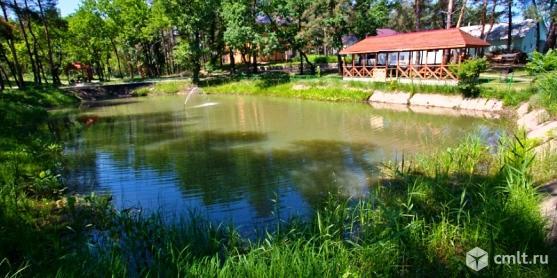 База отдыха Лесовичок