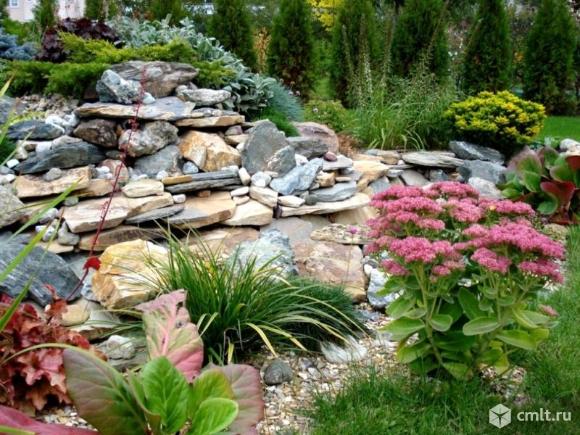 Ландшафтный дизайн озеленение. Фото 1.