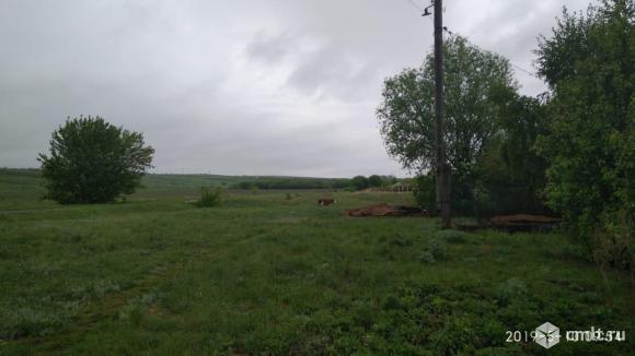 Дом 54,4 кв.м. Фото 12.