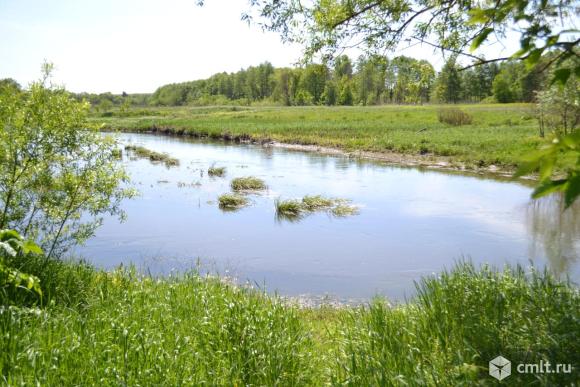 Село девица острогожский район карта