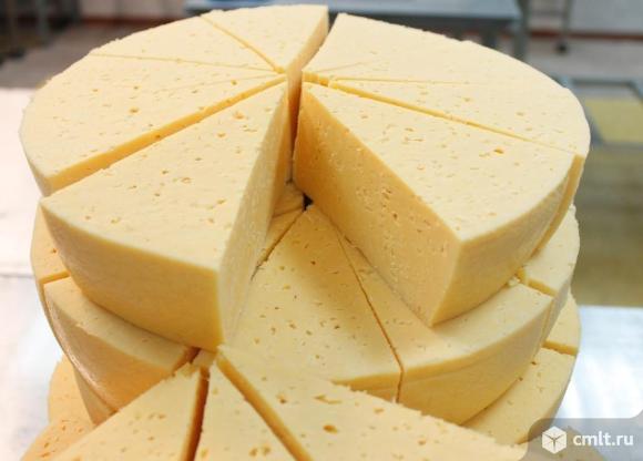 Российский сыр оптом, на прямую от производителя. Фото 1.