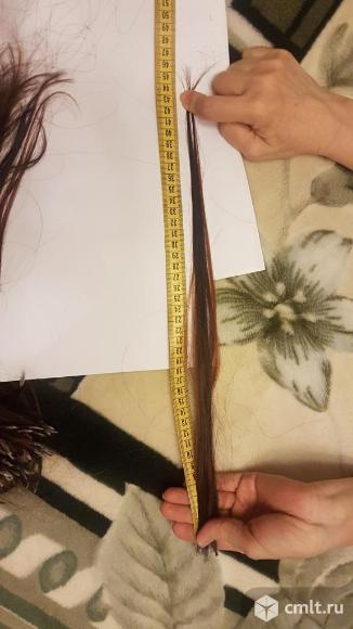 Продаю натуральные волосы. Фото 2.