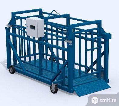 весы 5063 рп 1ш13с для взвешивания животных. электронные весы для крс взвешивание скота. весы стационарные для крс 2000х1000. платформенные весы всп4-жсо для крс. весы для взвешивания скота электронные 600 кг.