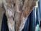 Куртка мужская зимняя кожаная на меху. Фото 1.