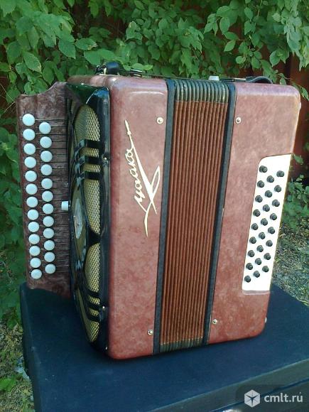 воронежские гармошки. играй гармонь воронежская область. гармонь беларусь тональность. гармонь воронеж. баян агат.