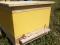 Продам каркасные ульи для пчел. Фото 1.