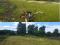 Покос (скос) травы ,стрижка газона в Воронеже. Фото 11.