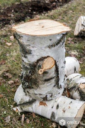 Березовые пеньки на дрова для бани. Фото 1.