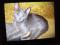 Русской голубой котята, к лотку приучены, от 3 до 8 мес. Фото 2.
