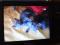 Русской голубой котята, к лотку приучены, от 3 до 8 мес. Фото 3.