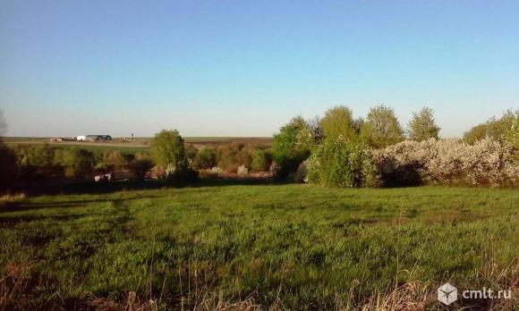 Участок 65 сот.. Фото 1.