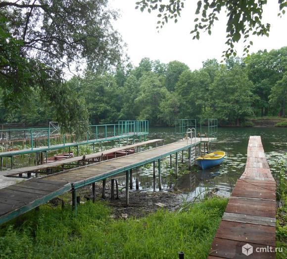 Радчино рамонский район фото