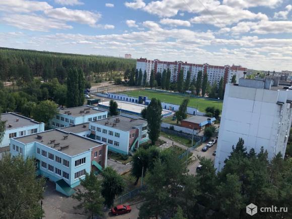 Придонской воронеж фото
