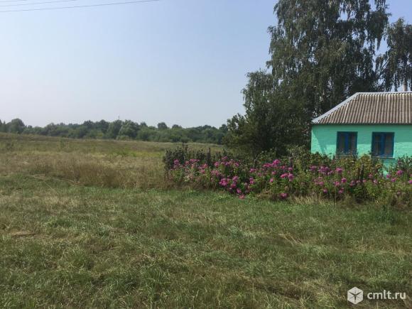 красные холмы воронежская область панинский район. красные холмы воронежская область панинский район. красные холмы панино. красные холмы воронежская область пруд. красные холмы воронежская область панинский район.