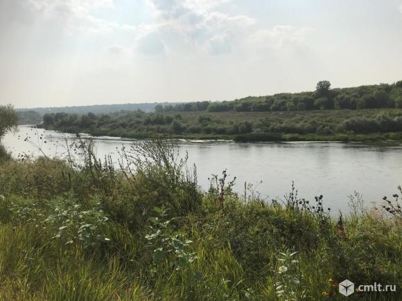 Дон новоживотинное. Озеро в Репном Воронеж. Репное речка. Река Дон в Новоживотинном.