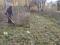 Скос (покос )травы в Воронеже. Фото 2.
