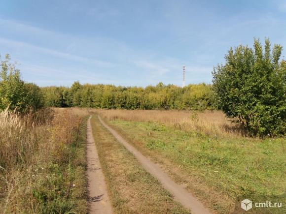 Рождественское погода воронежской. Село Рождественская Хава. Село Рождественская Хава Воронежская область. Село Рождественская Хава Новоусманский район Воронежская область. Рождественская Хава Воронеж.