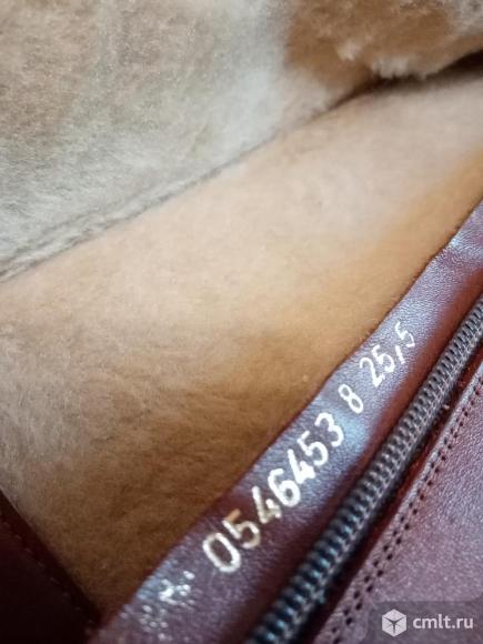 Сапоги кожаные на подкладке из исскуственного меха. Фото 2.