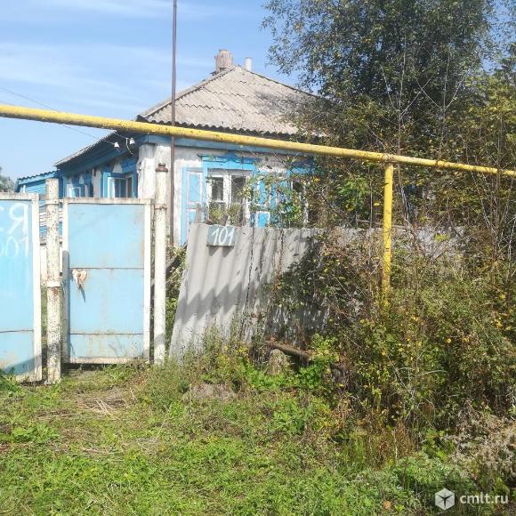 Погода нижний мамон воронежской. Верхний Мамон Воронежская область. Нижний Мамон улица Полевая.