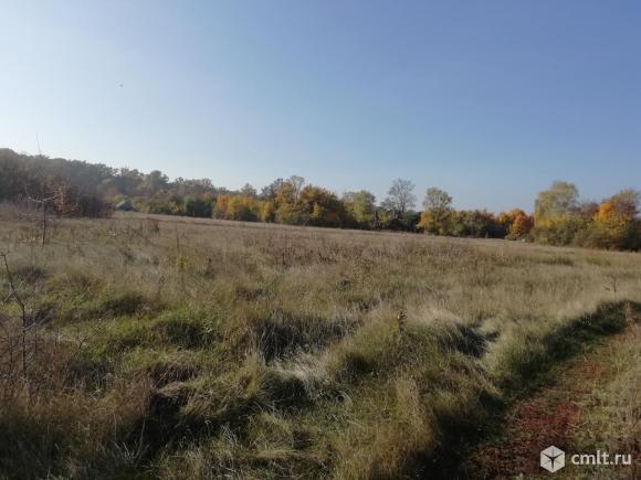 Лобачевский в козловке. Козловка тамбовский район. Село козловка бутурлиновского района воронежской 1799. Козловка терновский район воронежская область. Погода воронеж козловка.