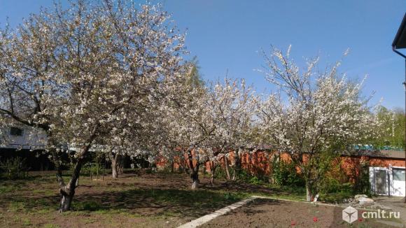 Краснодарский край на Воронежскую обл.. Фото 18.