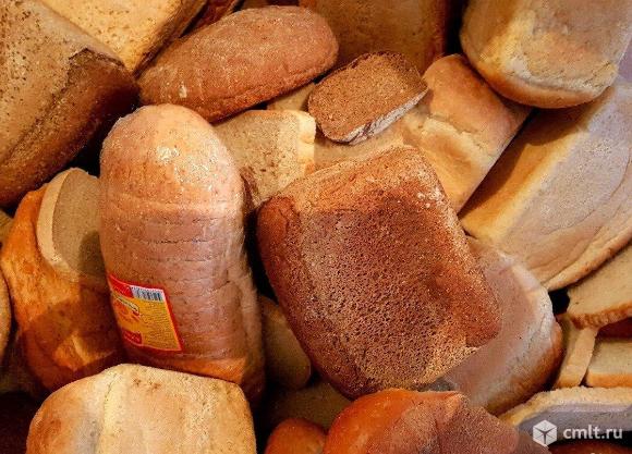 Хлеб на корм. Фото 1.