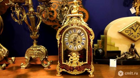 Купить комнатные растения в Воронеже и области — Доска объявлений Камелот