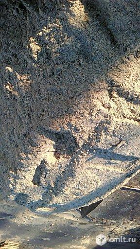 Опилки сосновые и дубовые. Фото 1.