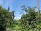 Участок 85,04 сот.. Фото 5.