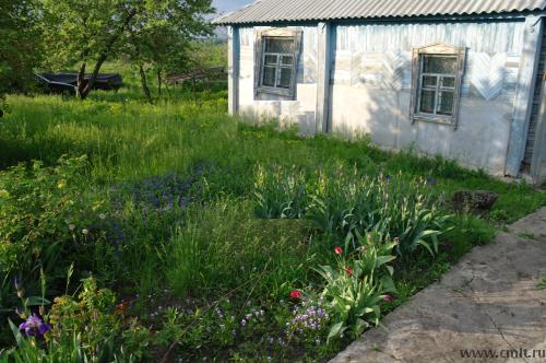 Продам дачу 30 км от Воронежа. Фото 1.