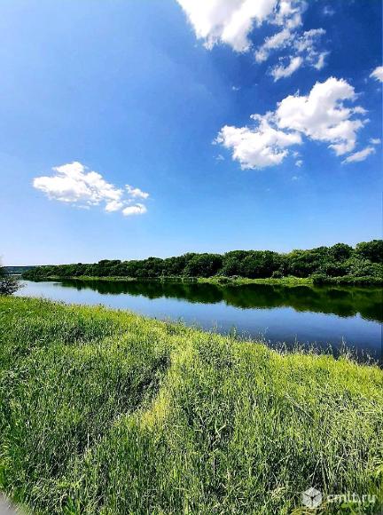 Берег реки дон 26а воронеж