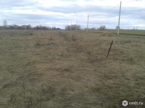 Участок 20 сот.. Фото 3.