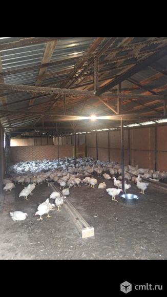 Рабочий. Фото 1.