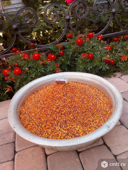 Продукты пчеловодства. Фото 2.