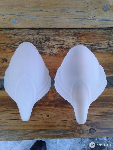 Плафоны для люстры.. Фото 3.