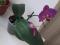 Продам или обменяю орхидею. Фото 3.