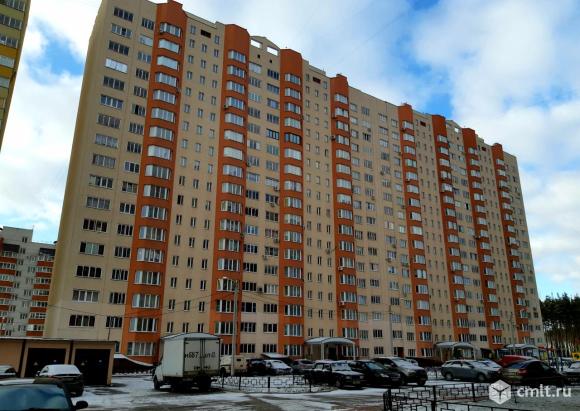 Окинава ул федора тютчева 97 воронеж фото