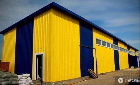 Ангар прямостенный. Фото 1.