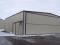Ангар прямостенный. Фото 2.