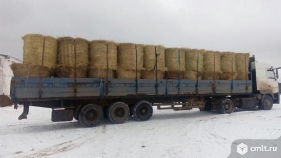 Перевозка сена. Фото 1.