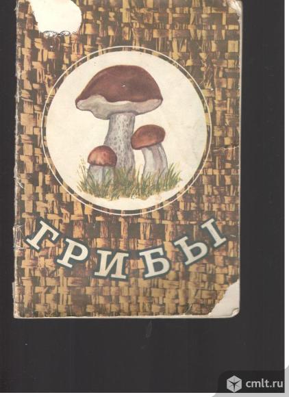 В.И.Смирнов.Грибы.. Фото 1.