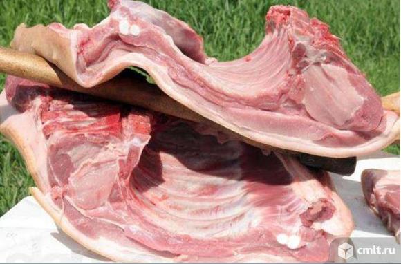 Мясо домашней свинины. Фото 1.