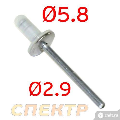 Заклепка на бензобак ф6мм с пластиковой шайбой. Фото 1.