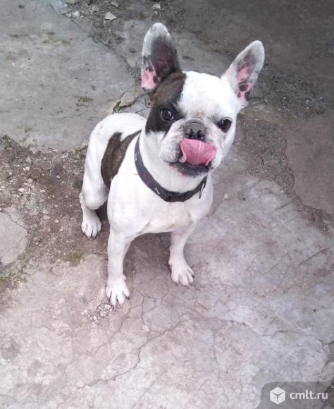 Липецкий "Жених". Фото 1.