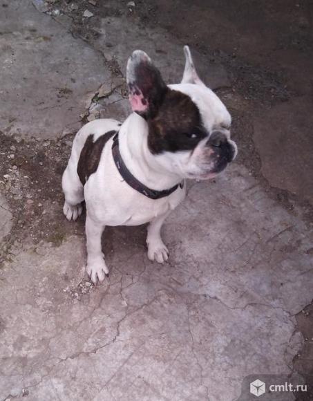 Липецкий "Жених". Фото 3.