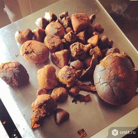 Желчный камень КРС. Фото 1.