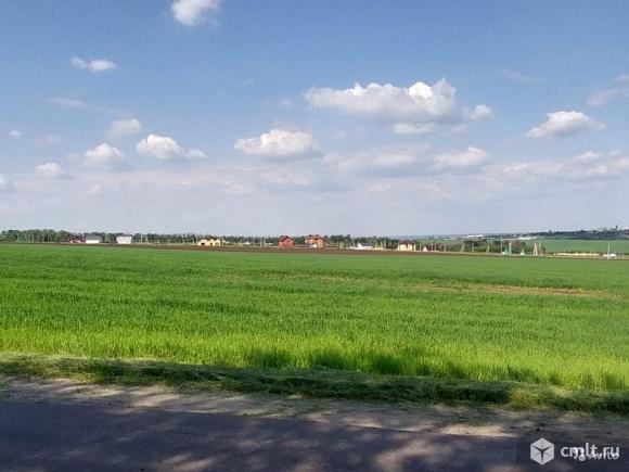 Гудовка семилукский район фото