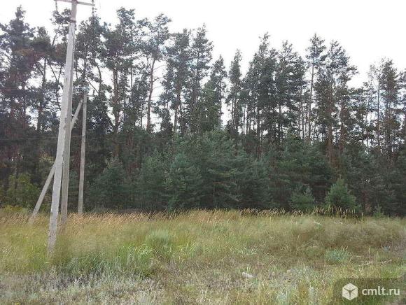 Участок 15 сот.. Фото 1.