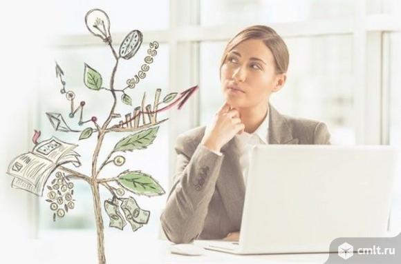 Услуги по развитию сайтов от ООО АСТОНИА. Фото 1.